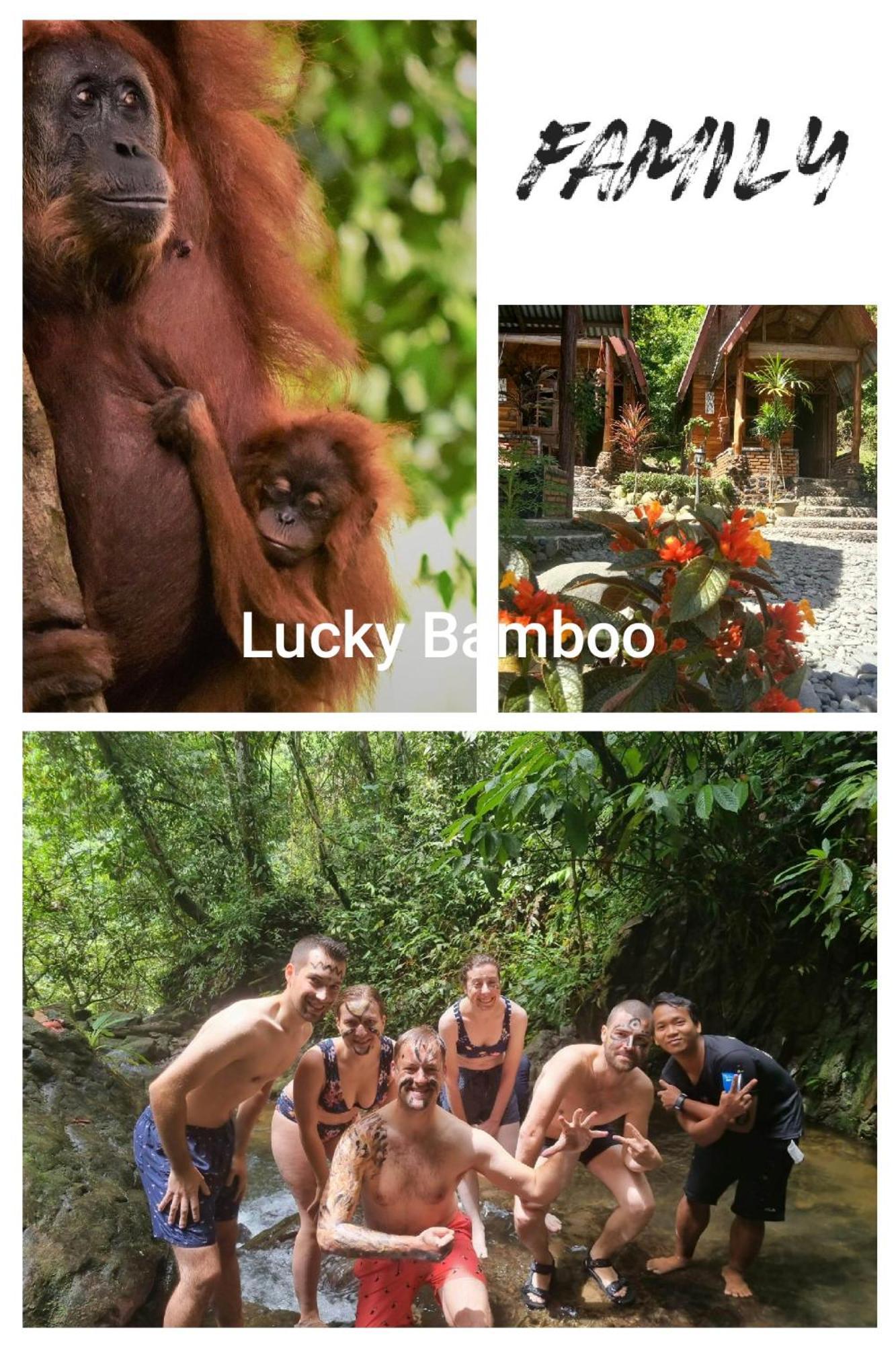 Lucky Bamboo'Bungalows-Resto And Orangutan Jungle Trekking Tours Bukit Lawang Kültér fotó