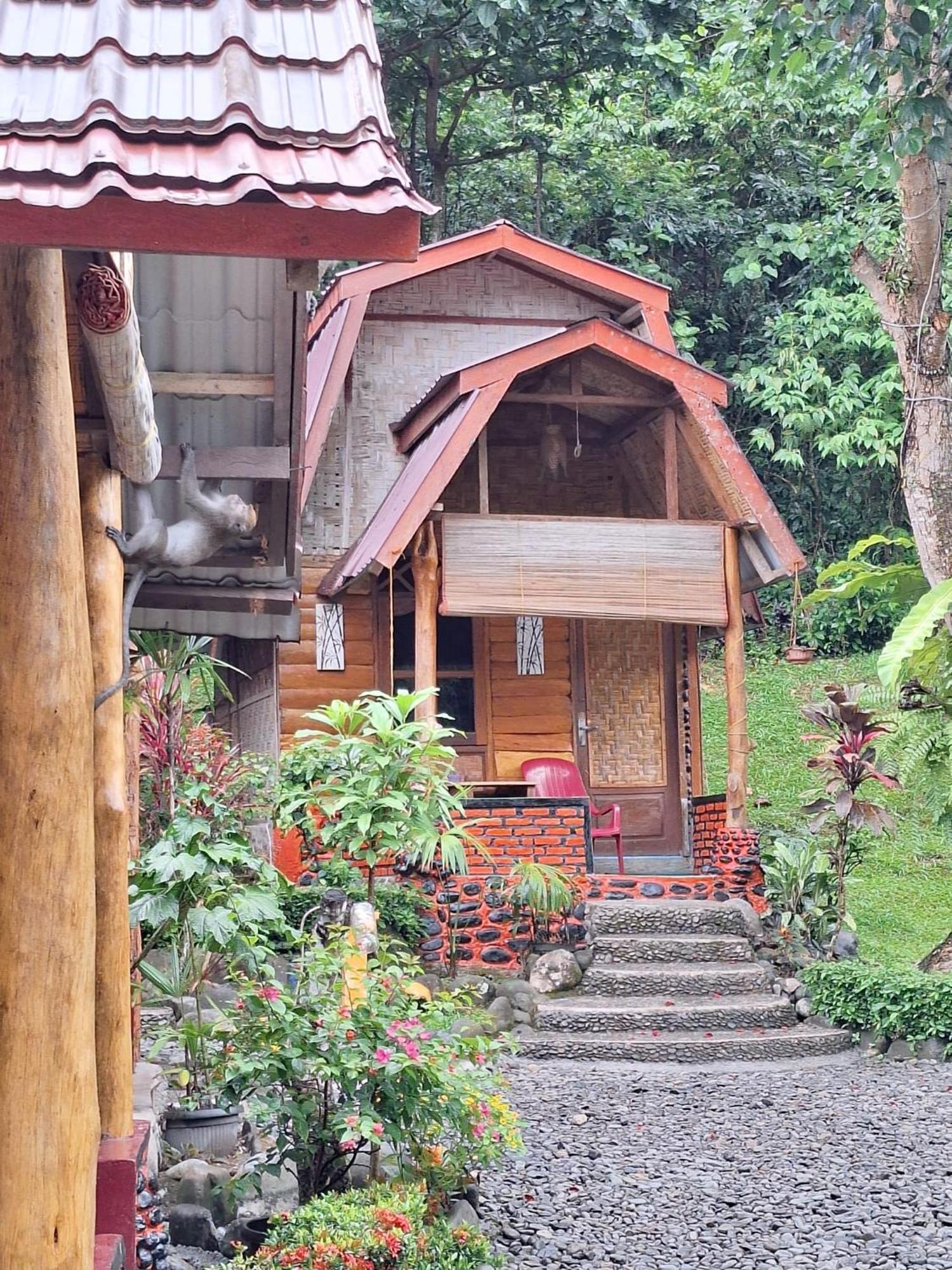 Lucky Bamboo'Bungalows-Resto And Orangutan Jungle Trekking Tours Bukit Lawang Kültér fotó